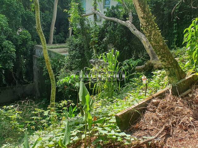 Terreno para Venda em Rio de Janeiro - 5