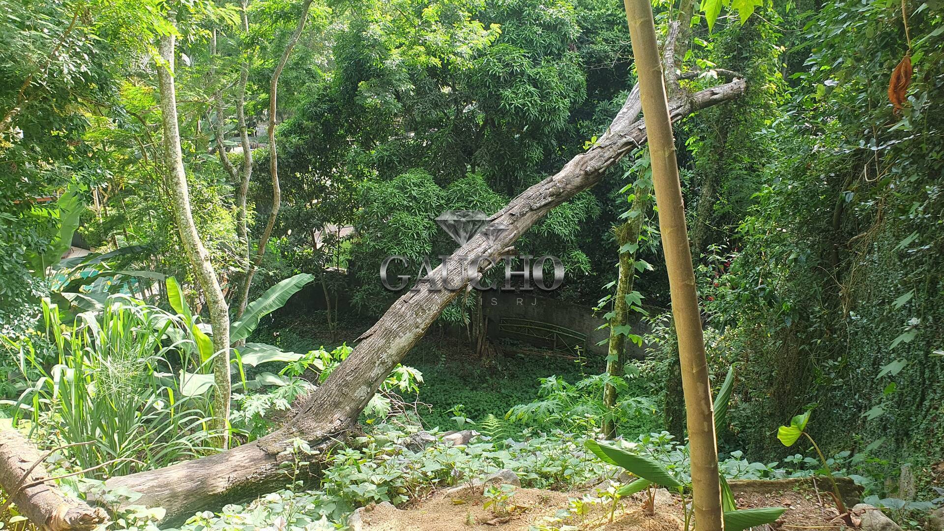 Terreno à venda, 700m² - Foto 11